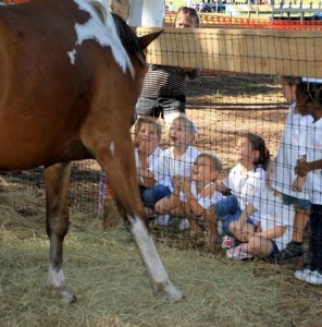 kids watching the horse         